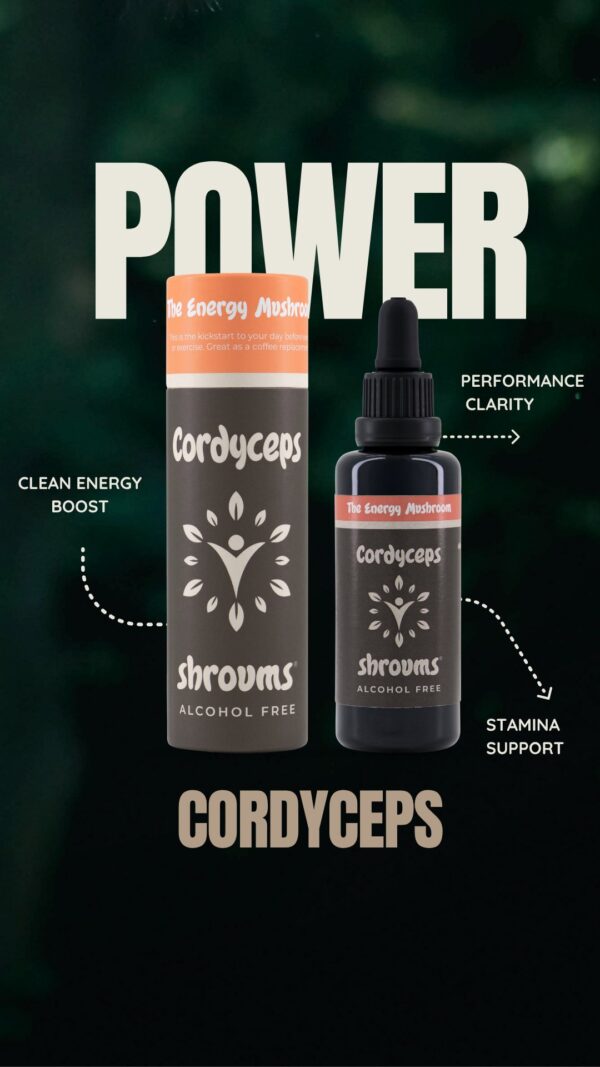 Cordyceps Mushroom Extract - Alcohol Free - Image 5