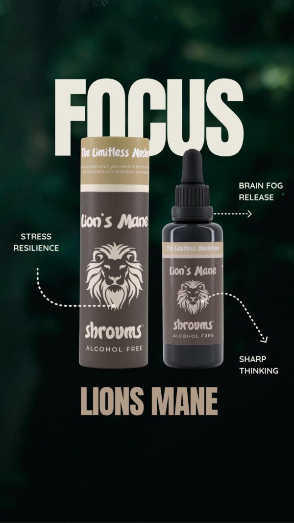 Performance Pack - Lion's Mane and Cordyceps - Alcohol Free - Image 5