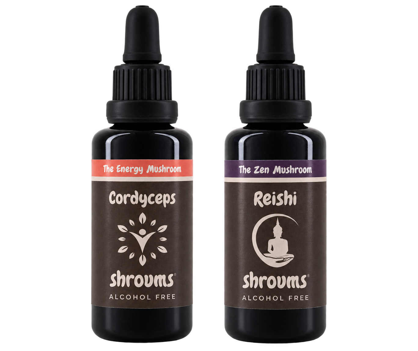 ✈️ The Jet Set - Reishi And Cordyceps - Alcohol Free